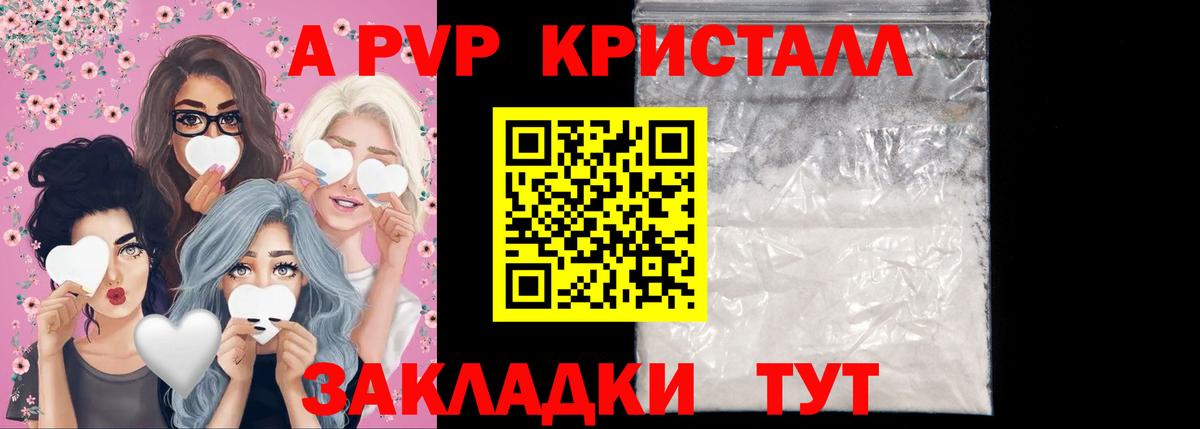 A PVP СК Энгельс