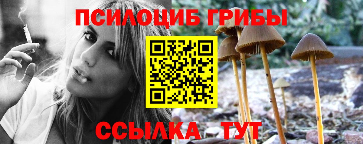 Галлюциногенные грибы MAGIC MUSHROOMS Энгельс