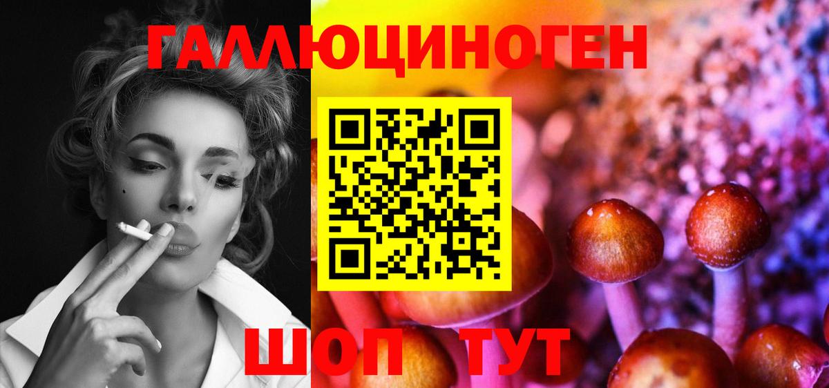 Энгельс  Галлюциногенные грибы GOLDEN TEACHER  Галлюциногенные грибы ЛСД  Вход с VPN 